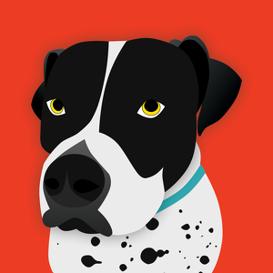 Avery The Wonder Dog Seal of Approval! 